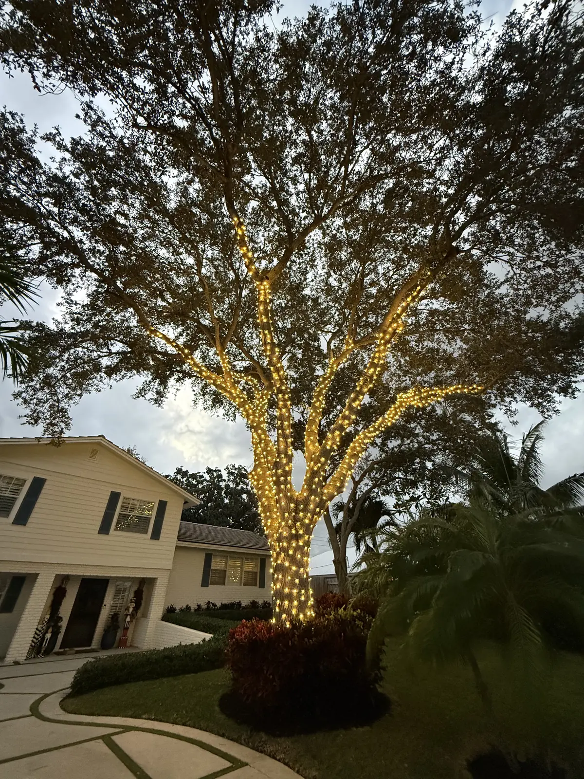 Holiday lighting