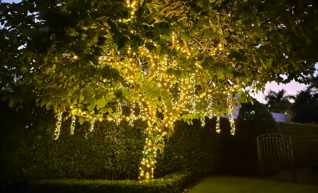 Holiday Lighting