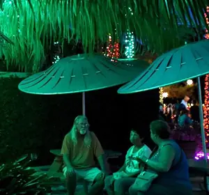 Christmas Lighting up South Florida