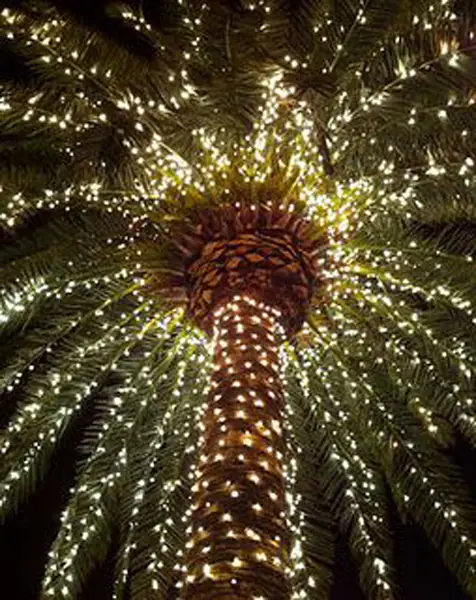 PB Lighting gallery